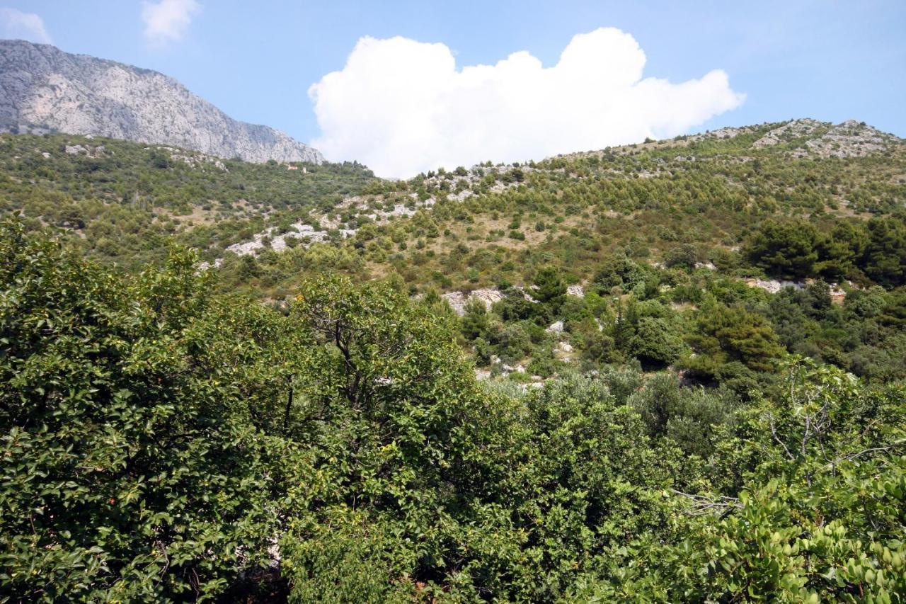 Apartments By The Sea Drvenik Donja Vala, Makarska - 6701 Εξωτερικό φωτογραφία